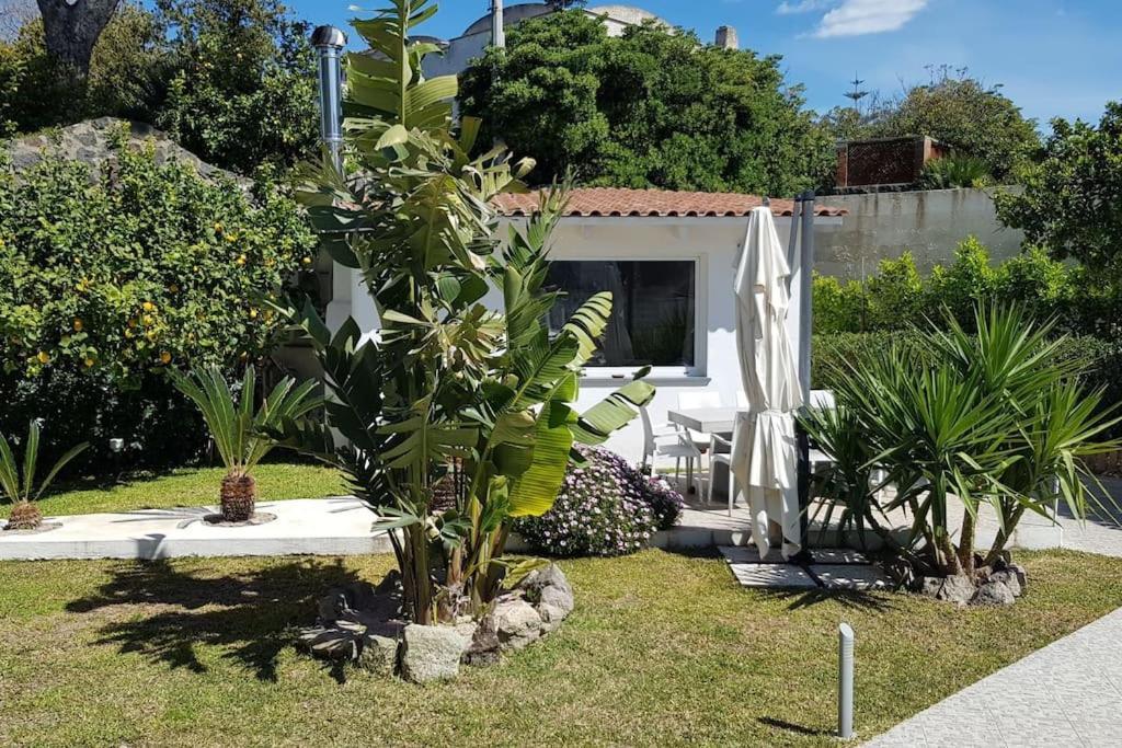 Casa Vacanza M&C Ischia Форио Экстерьер фото
