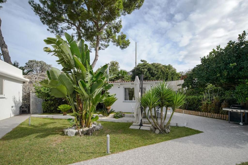 Casa Vacanza M&C Ischia Форио Экстерьер фото