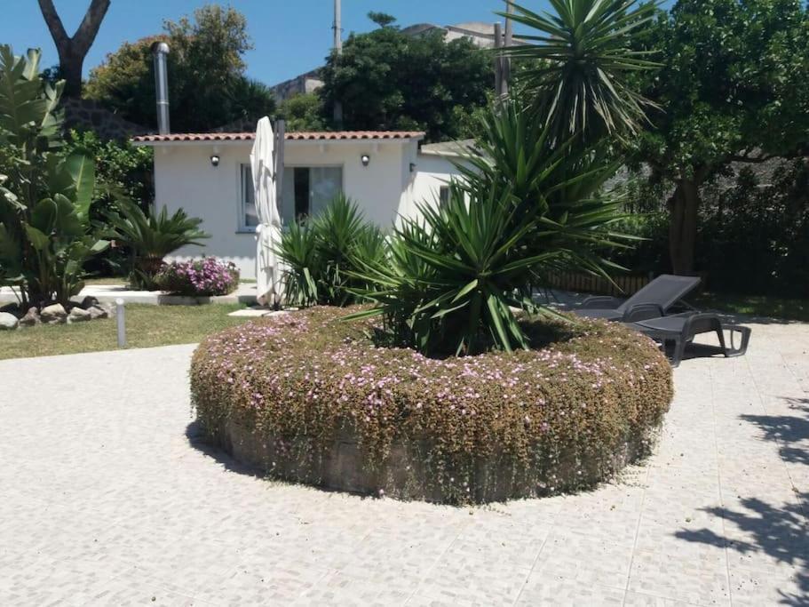 Casa Vacanza M&C Ischia Форио Экстерьер фото