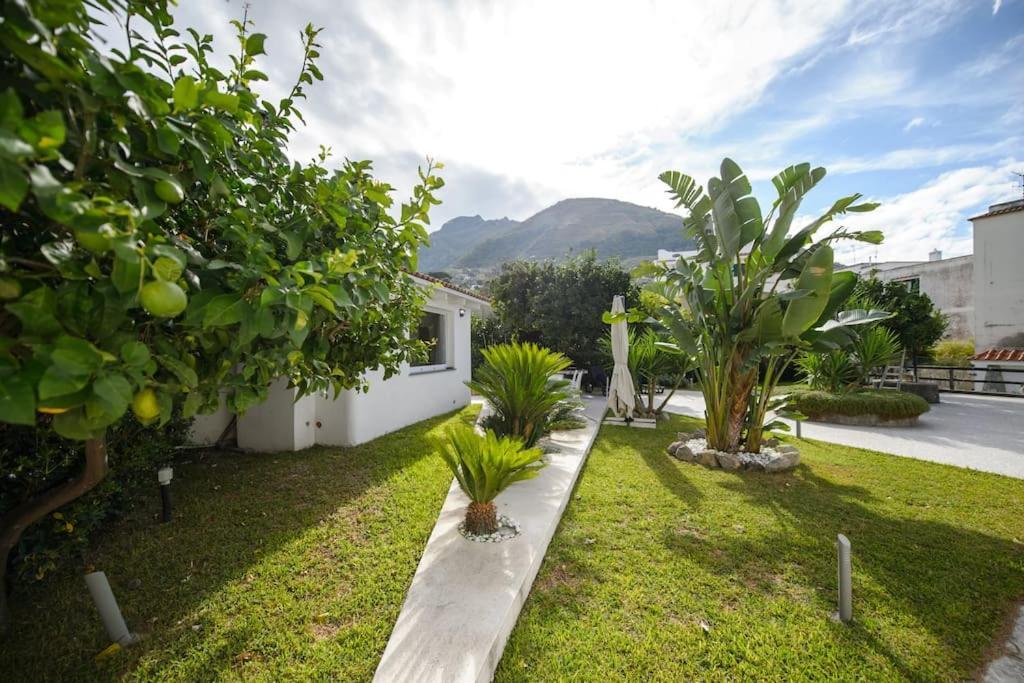 Casa Vacanza M&C Ischia Форио Экстерьер фото
